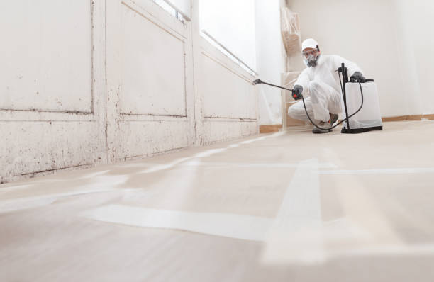 24/7 Emergency Crawl Space Mold Removal experts in North Bend, WA